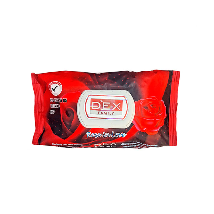 Toallitas Húmedas  60 uni